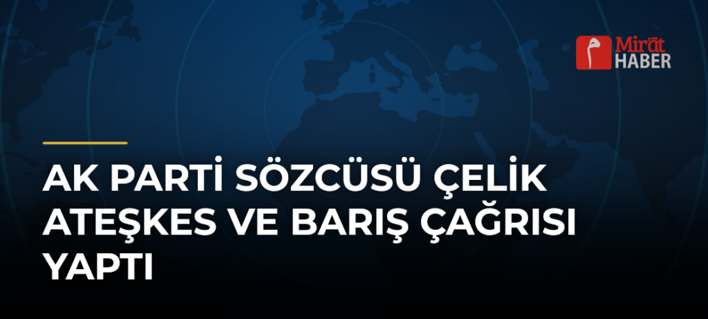 AK Parti Sözcüsü Çelik Ateşkes ve Barış Çağrısı Yaptı