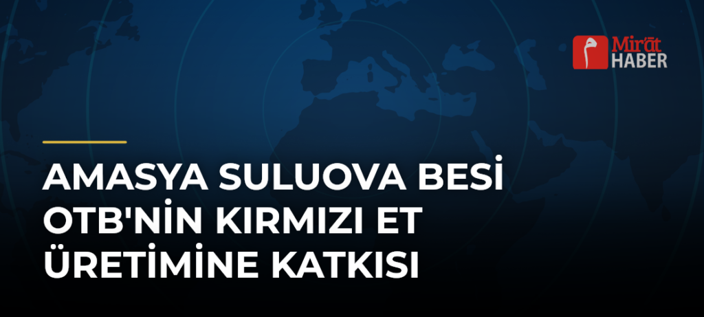 Amasya Suluova Besi OTB’nin Kırmızı Et Üretimine Katkısı