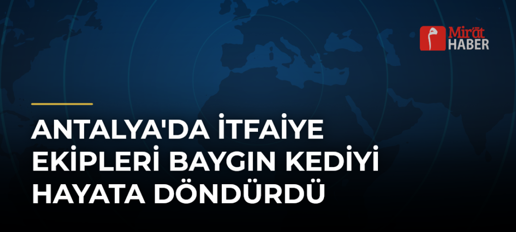 Antalya’da İtfaiye Ekipleri Baygın Kediyi Hayata Döndürdü