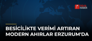 Besicilikte Verimi Artıran Modern Ahırlar Erzurum’da