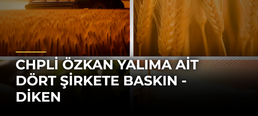 CHPli Özkan Yalıma ait dört şirkete baskın – Diken
