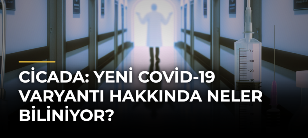 Cicada: Yeni Covid-19 Varyantı Hakkında Neler Biliniyor?