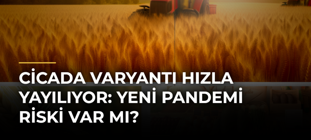 Cicada varyantı hızla yayılıyor: Yeni pandemi riski var mı?
