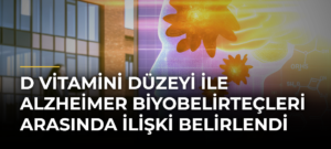 D vitamini düzeyi ile Alzheimer biyobelirteçleri arasında ilişki belirlendi