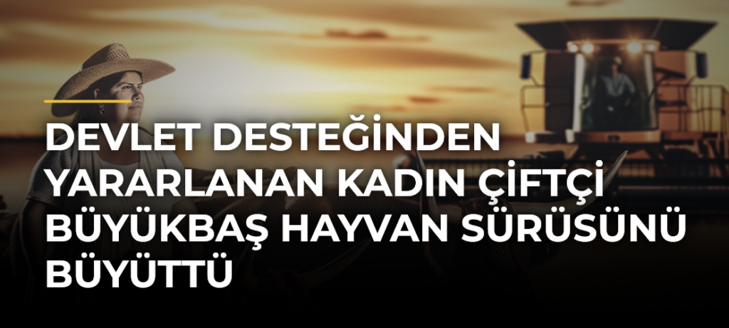 Devlet desteğinden yararlanan kadın çiftçi büyükbaş hayvan sürüsünü büyüttü