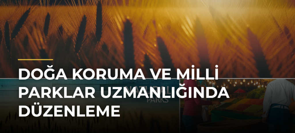 Doğa Koruma ve Milli Parklar Uzmanlığında Düzenleme