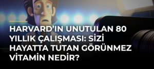 Harvard’ın unutulan 80 yıllık çalışması: Sizi hayatta tutan görünmez vitamin nedir?
