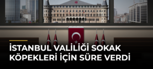 İstanbul Valiliği Sokak Köpekleri İçin Süre Verdi