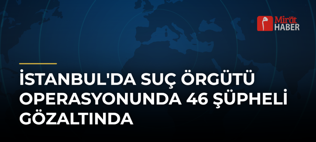 İstanbul’da Suç Örgütü Operasyonunda 46 Şüpheli Gözaltında