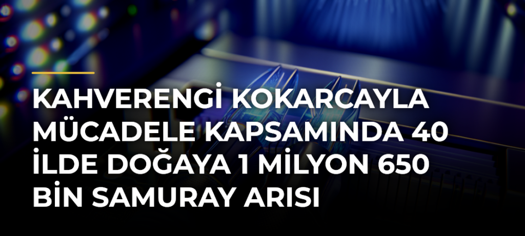 Kahverengi kokarcayla mücadele kapsamında 40 ilde doğaya 1 milyon 650 bin samuray arısı salınacak