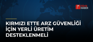 Kırmızı Ette Arz Güvenliği İçin Yerli Üretim Desteklenmeli