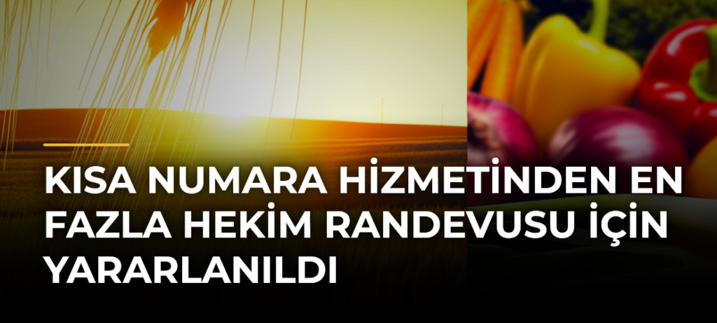 Kısa numara hizmetinden en fazla hekim randevusu için yararlanıldı