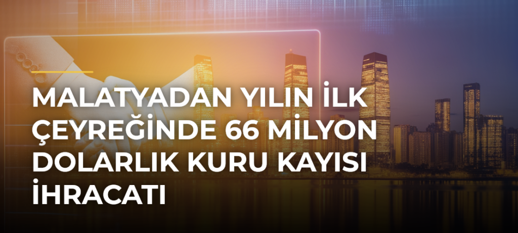 Malatyadan yılın ilk çeyreğinde 66 milyon dolarlık kuru kayısı ihracatı