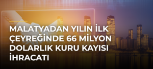 Malatyadan yılın ilk çeyreğinde 66 milyon dolarlık kuru kayısı ihracatı