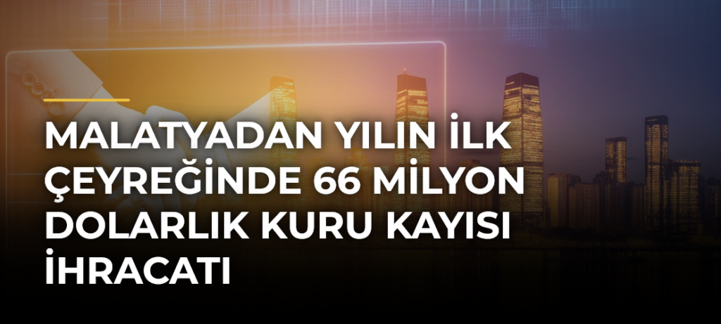 Malatyadan yılın ilk çeyreğinde 66 milyon dolarlık kuru kayısı ihracatı
