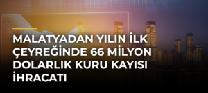 Malatyadan yılın ilk çeyreğinde 66 milyon dolarlık kuru kayısı ihracatı