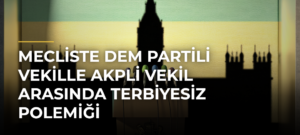 Mecliste DEM Partili vekille AKPli vekil arasında terbiyesiz polemiği