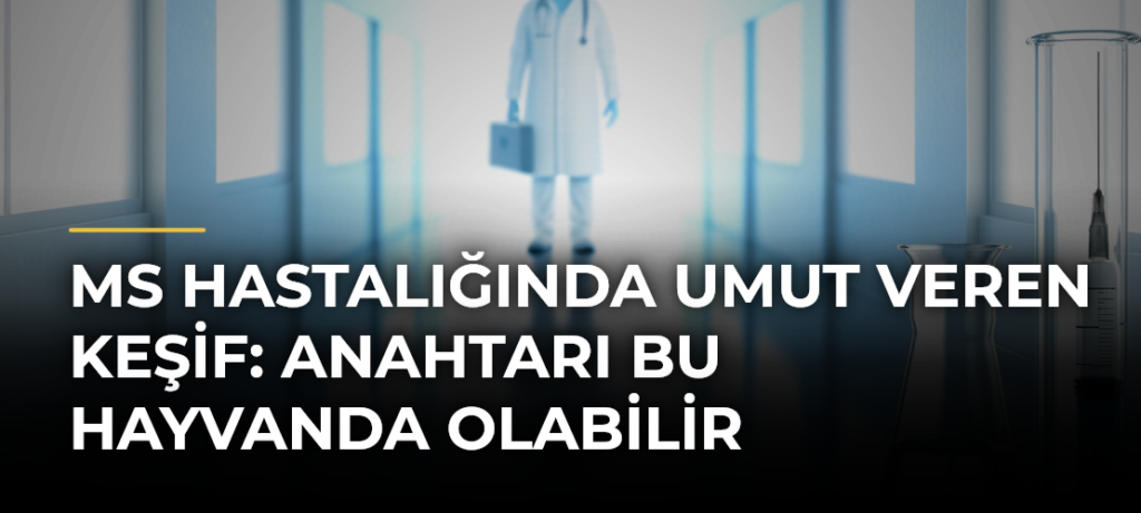 MS hastalığında umut veren keşif: Anahtarı bu hayvanda olabilir