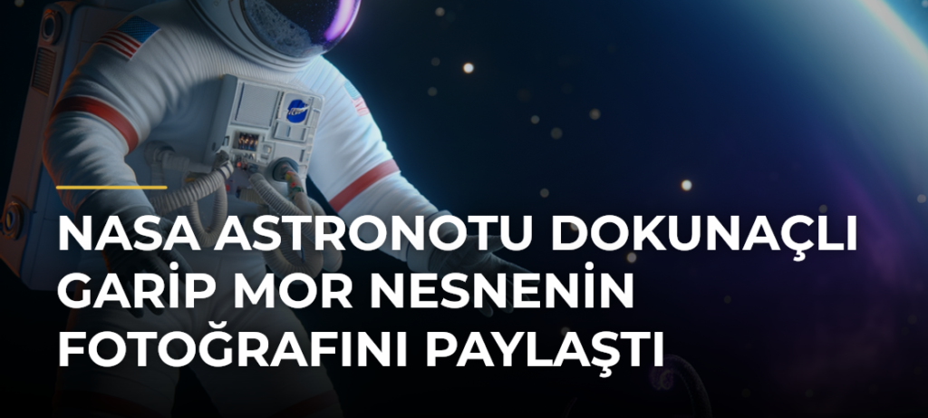 NASA Astronotu Dokunaçlı Garip Mor Nesnenin Fotoğrafını Paylaştı