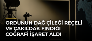 Ordunun dağ çileği reçeli ve çakıldak fındığı coğrafi işaret aldı