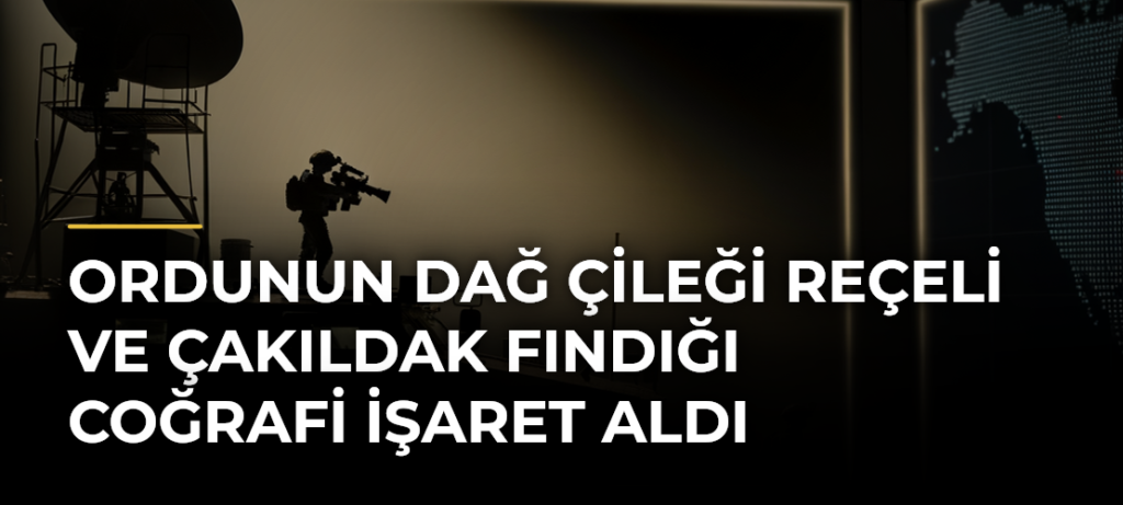 Ordunun dağ çileği reçeli ve çakıldak fındığı coğrafi işaret aldı