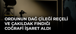 Ordunun dağ çileği reçeli ve çakıldak fındığı coğrafi işaret aldı