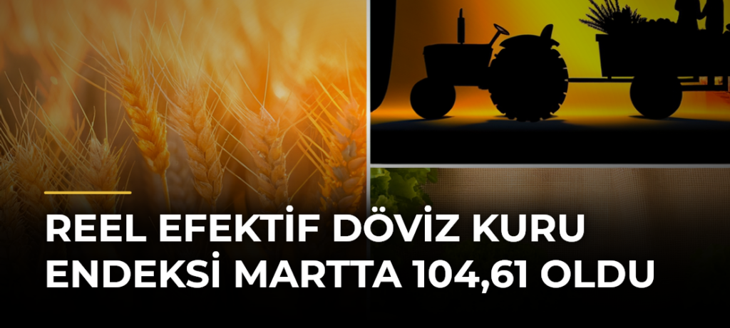 Reel efektif döviz kuru endeksi martta 104,61 oldu