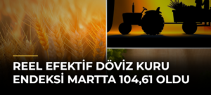 Reel efektif döviz kuru endeksi martta 104,61 oldu