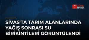 Sivas’ta Tarım Alanlarında Yağış Sonrası Su Birikintileri Görüntülendi
