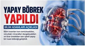 Bilim Dünyasında Devrim: Yapay Böbrek Geliştirildi