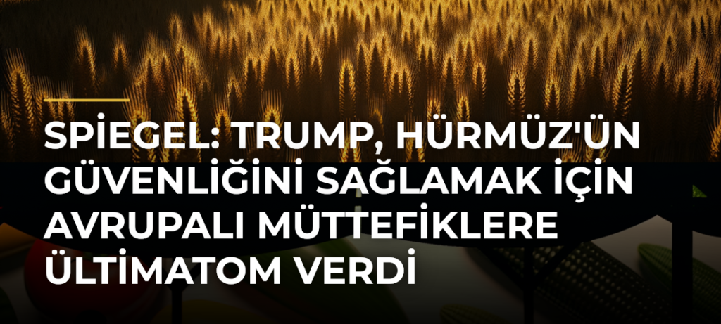 Spiegel: Trump, Hürmüz’ün güvenliğini sağlamak için Avrupalı müttefiklere ültimatom verdi