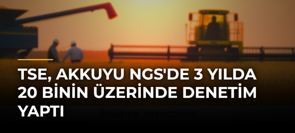 TSE, Akkuyu NGS’de 3 Yılda 20 Binin Üzerinde Denetim Yaptı
