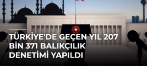 Türkiye’de Geçen Yıl 207 Bin 371 Balıkçılık Denetimi Yapıldı