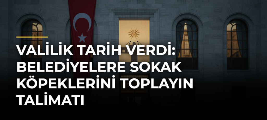 Valilik tarih verdi: Belediyelere sokak köpeklerini toplayın talimatı