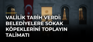 Valilik tarih verdi: Belediyelere sokak köpeklerini toplayın talimatı