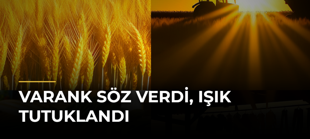 Varank Söz Verdi, Işık Tutuklandı