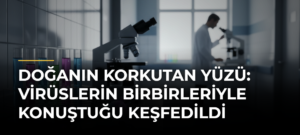 Doğanın Korkutan Yüzü: Virüslerin Birbirleriyle Konuştuğu Keşfedildi