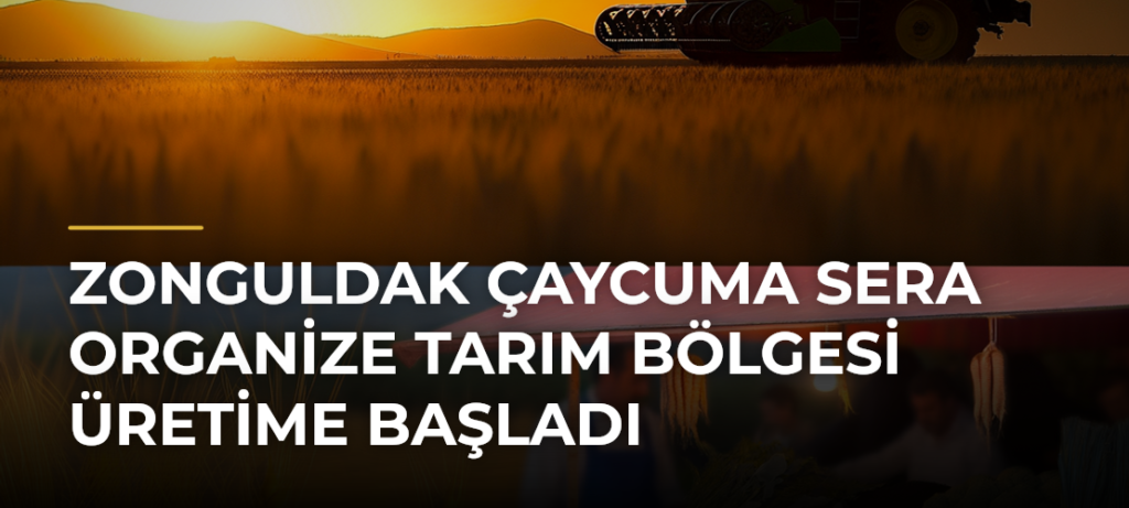Zonguldak Çaycuma Sera Organize Tarım Bölgesi Üretime Başladı
