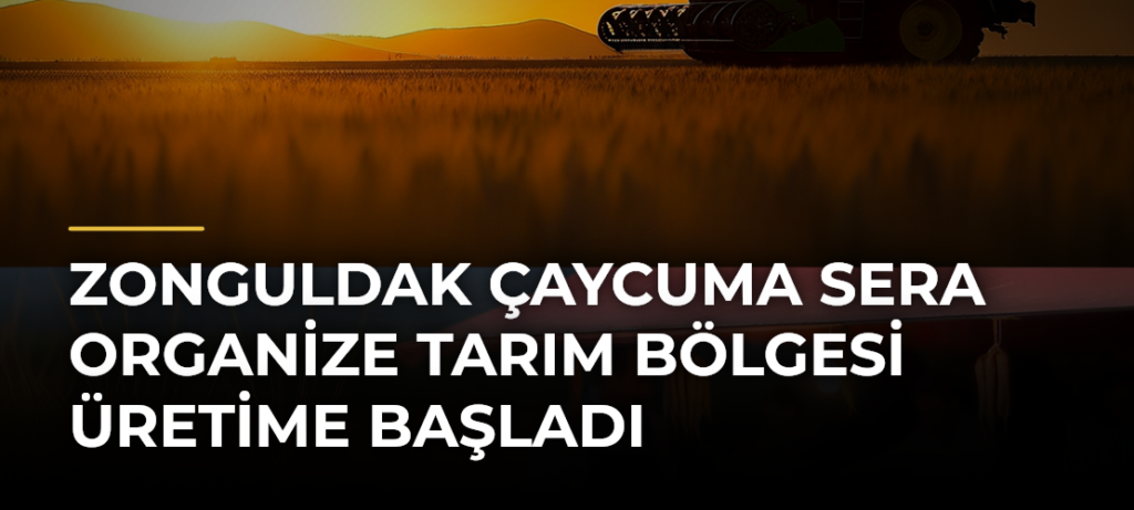 Zonguldak Çaycuma Sera Organize Tarım Bölgesi Üretime Başladı