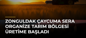 Zonguldak Çaycuma Sera Organize Tarım Bölgesi Üretime Başladı
