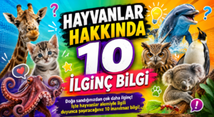 Hayvanlar Hakkında 10 İlginç Bilgi