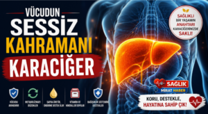 VÜCUDUN SESSİZ KAHRAMANI — KARACİĞER