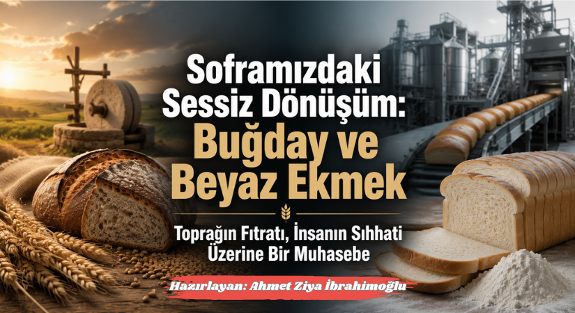 Soframızdaki Sessiz Dönüşüm: Buğday ve Beyaz Ekmek