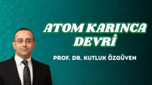 ATOM KARINCA DEVRİ