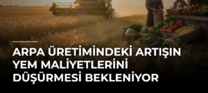 Arpa Üretimindeki Artışın Yem Maliyetlerini Düşürmesi Bekleniyor