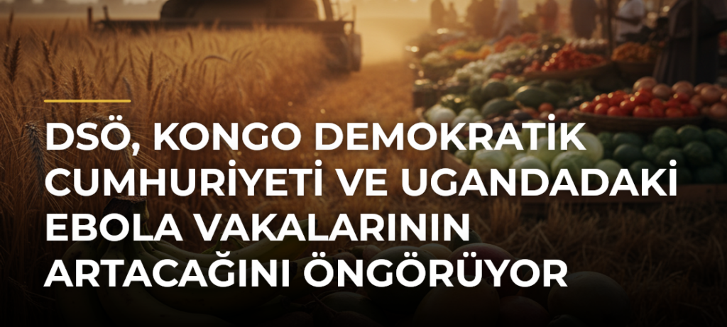 DSÖ, Kongo Demokratik Cumhuriyeti ve Ugandadaki Ebola vakalarının artacağını öngörüyor