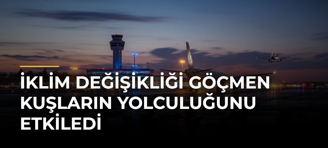 İklim değişikliği göçmen kuşların yolculuğunu etkiledi