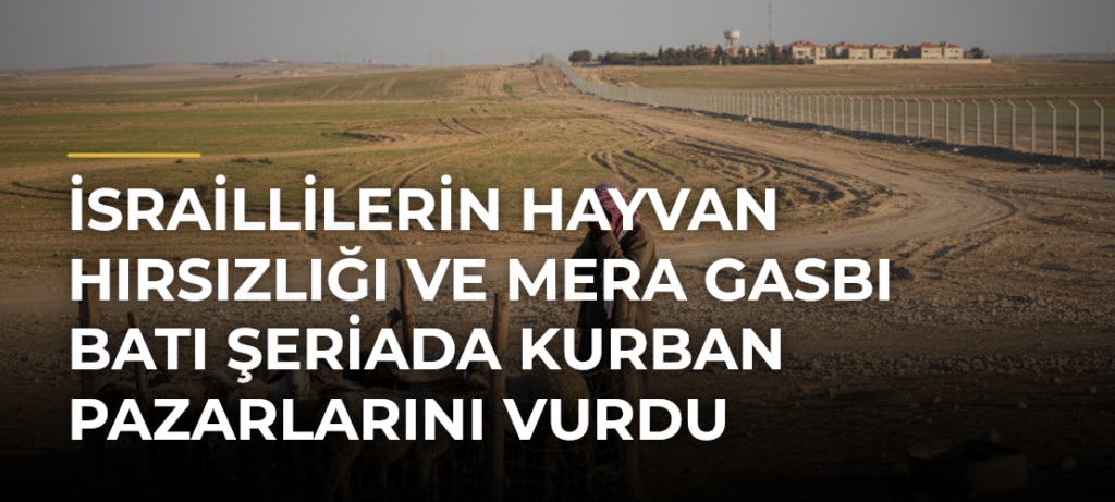 İsraillilerin hayvan hırsızlığı ve mera gasbı Batı Şeriada kurban pazarlarını vurdu