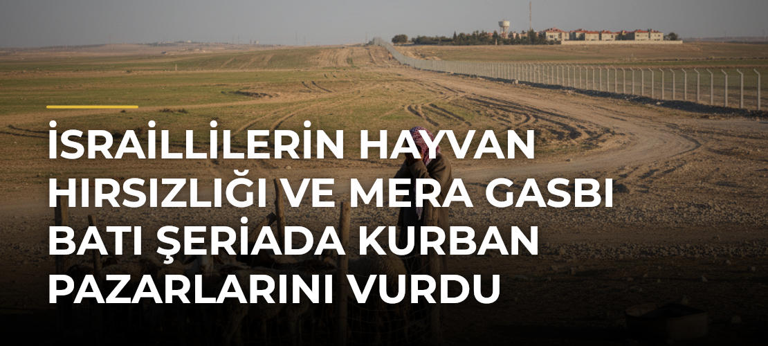 İsraillilerin hayvan hırsızlığı ve mera gasbı Batı Şeriada kurban pazarlarını vurdu