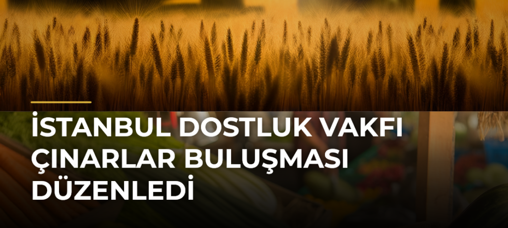 İstanbul Dostluk Vakfı Çınarlar Buluşması Düzenledi